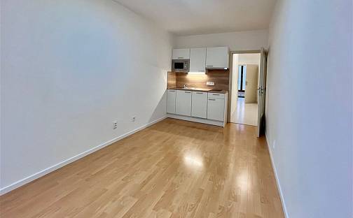 Pronájem bytu 1+kk 25 m², Štítného, Praha 3 - Žižkov, okres Praha