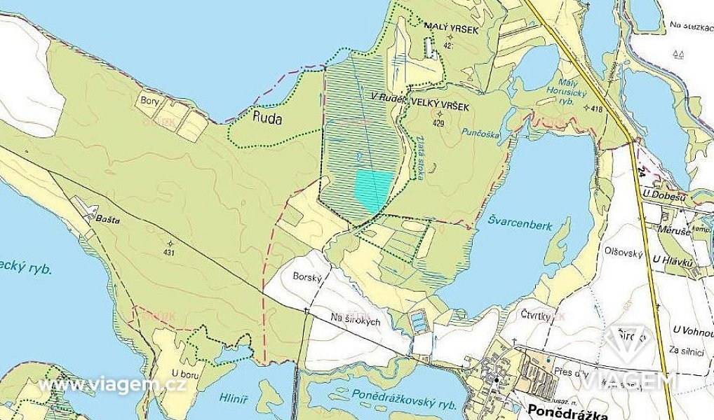 Prodej lesa 20 552 m², Veselí nad Lužnicí – náhled fotky 4