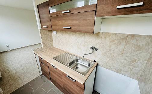 Pronájem bytu 1+kk 26 m², K. H. Borovského, Most