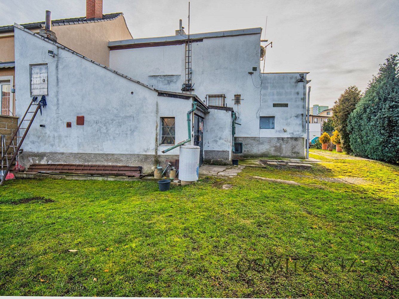 Fotka 21 z 24