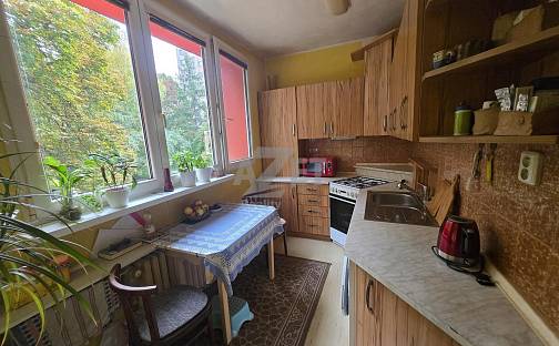 Prodej bytu 3+1 57 m², Jirská, Ostrava - Moravská Ostrava