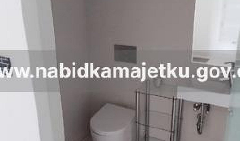 Prodej domu 767 m² s pozemkem 2 143 m², Drahňovice – náhled fotky 23