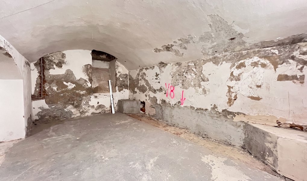 Prodej komerčního objektu (jiného typu) 235 m², Praha – náhled fotky 7