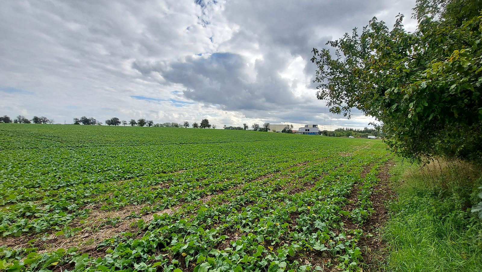 Prodej stavebního pozemku 25 000 m² — photo 3