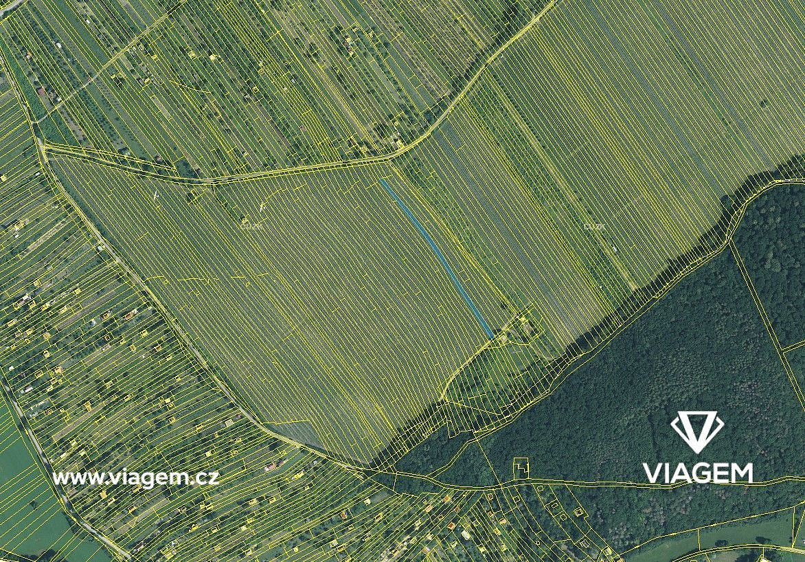 Prodej pole 3 361 m² – fotografie 3
