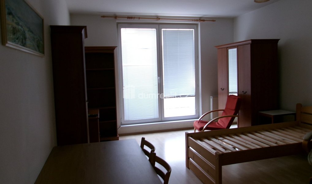 Pronájem bytu 1+kk 39 m², Mladá Boleslav – náhled fotky 11