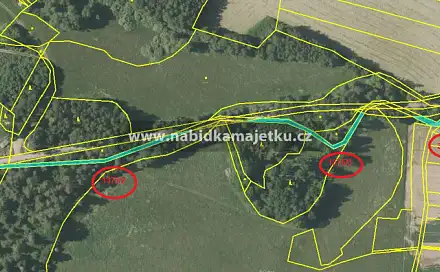 Prodej pozemku 1 536 m², Neurazy, okres Plzeň-Jih