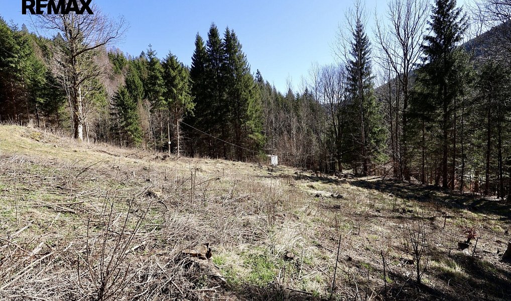 Prodej stavebního pozemku 7 880 m², Morávka – náhled fotky 2