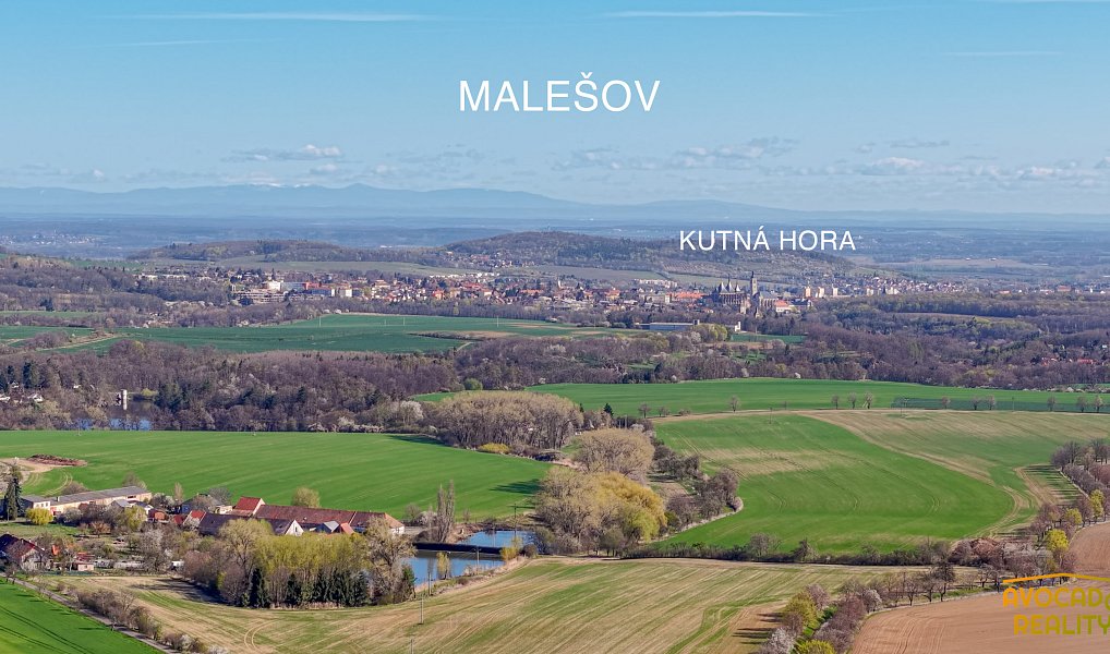 Prodej stavebního pozemku 2 900 m², Malešov – náhled fotky 12