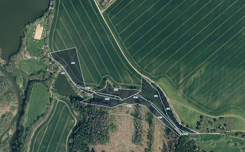 Prodej louky 46 047 m², Kamberk, okres Benešov