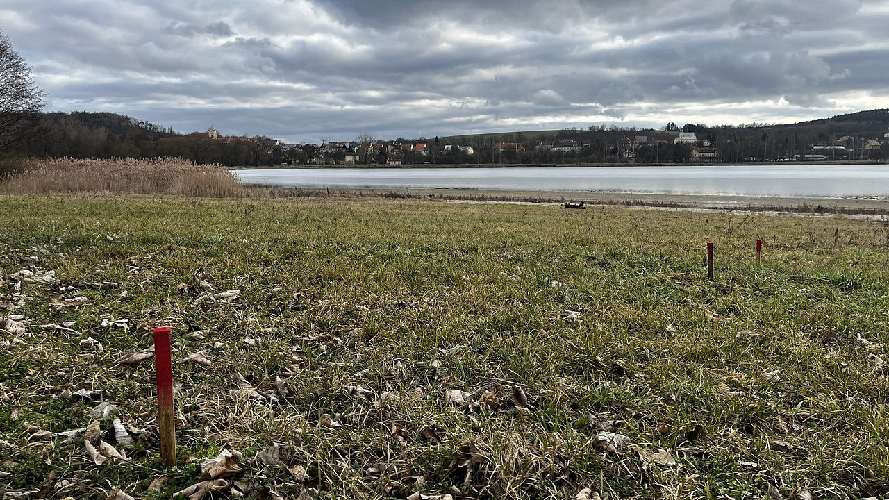 Prodej komerčního pozemku 478 m² – fotografie 2