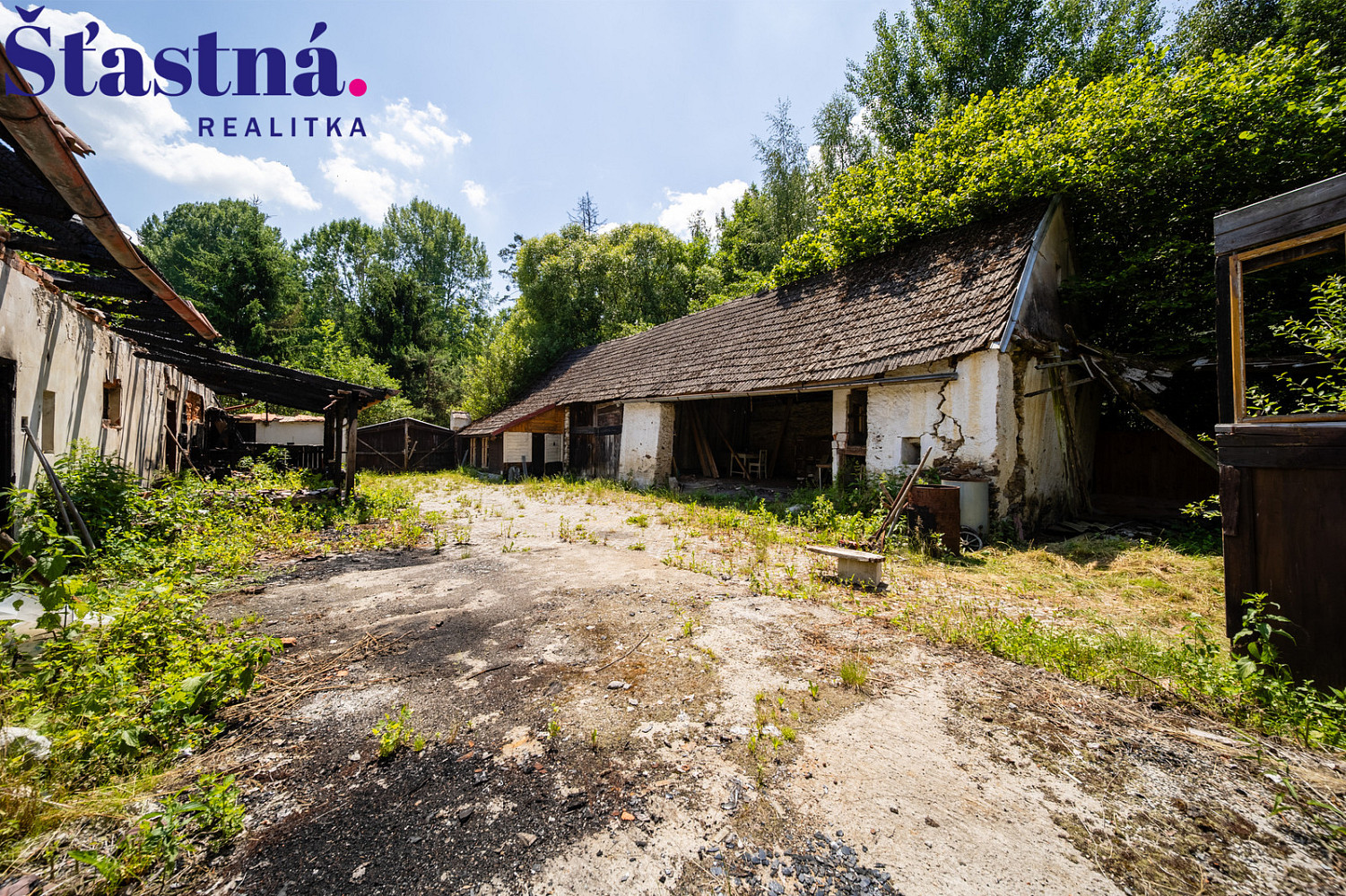 Prodej domu 200 m² s pozemkem 12 408 m² — photo 4