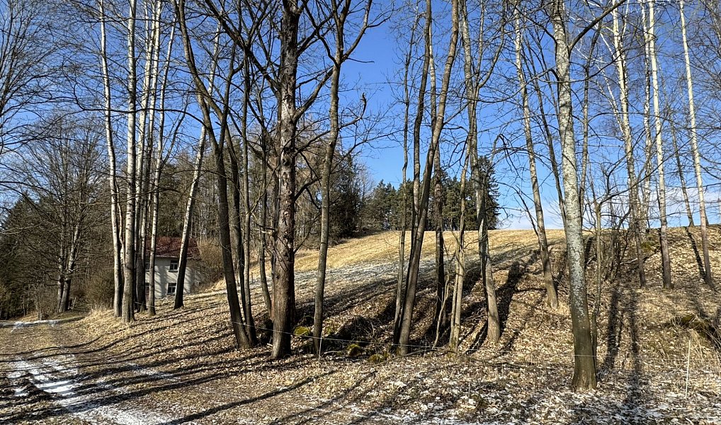 Prodej chaty/chalupy 120 m² s pozemkem 34 800 m², Zdíkov – náhled fotky 23