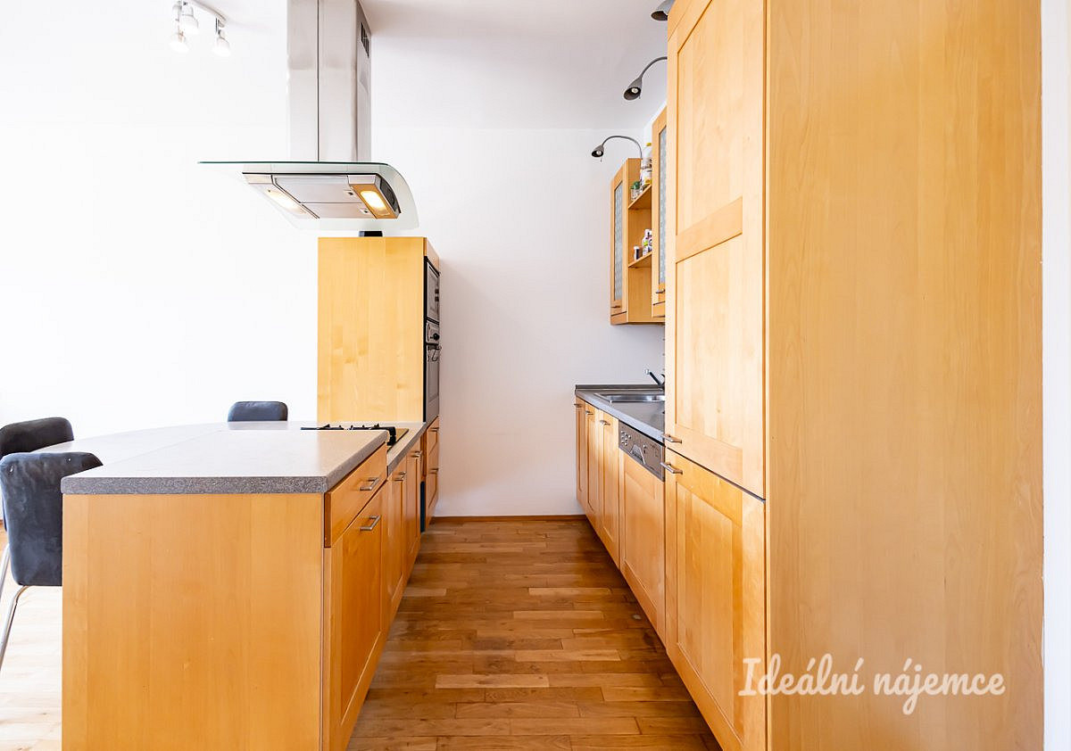 Pronájem bytu 3+kk 56 m² – fotografie 4