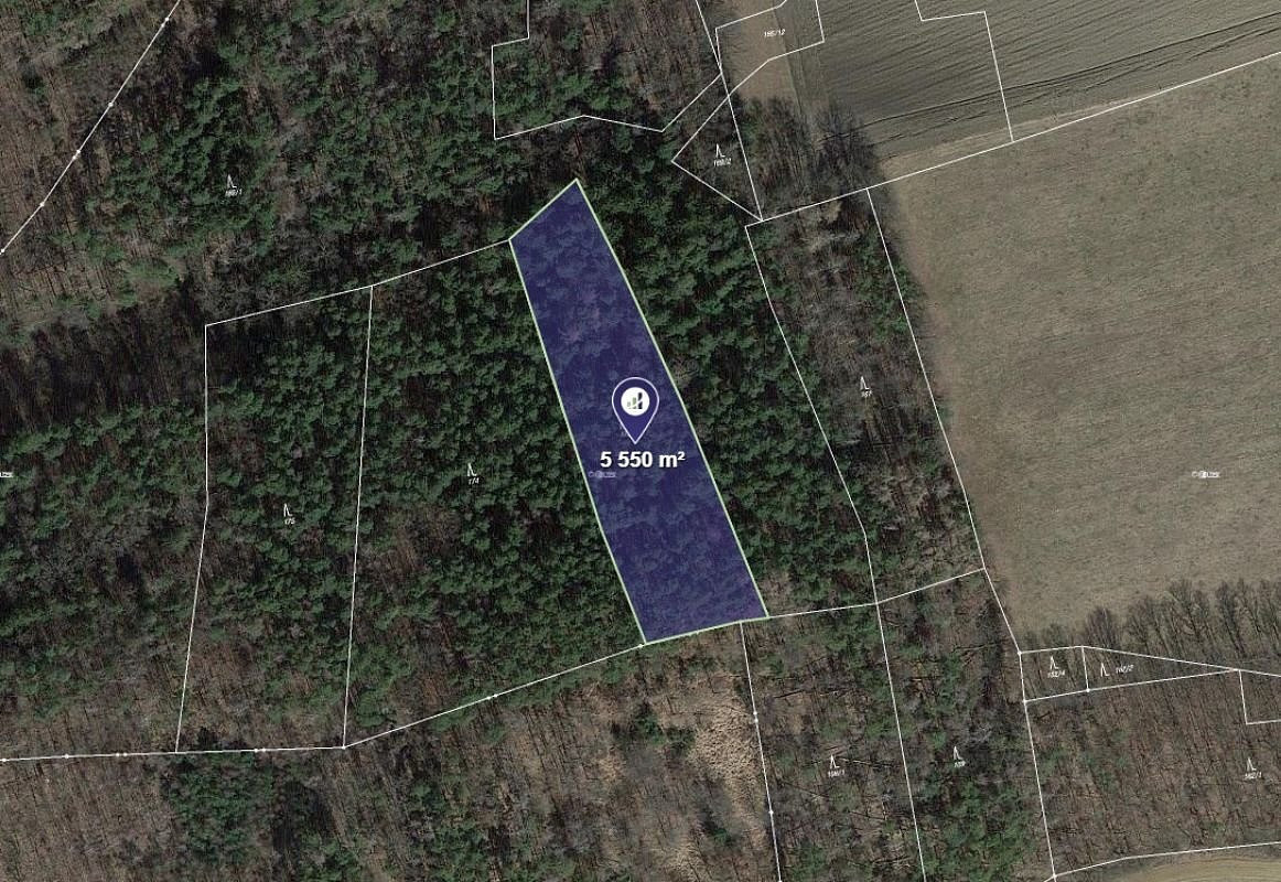 Prodej lesa 1 388 m²