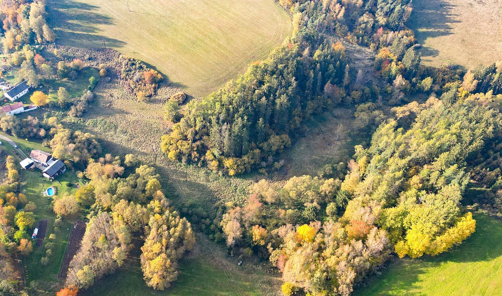 Prodej pozemku 15 970 m², Planá – náhled fotky 19