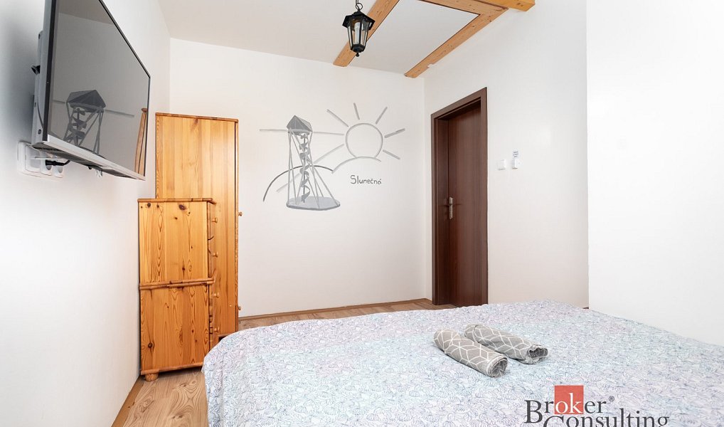 Prodej komerčního objektu (jiného typu) 261 m², Rudná pod Pradědem – náhled fotky 28