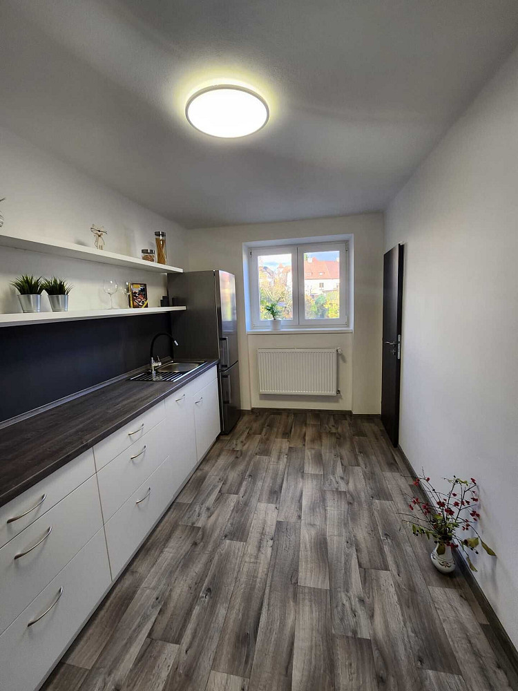 Pronájem bytu 1+1 42 m²