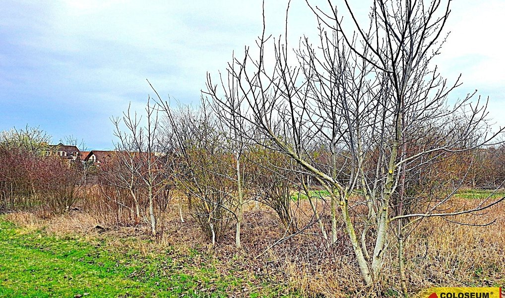Prodej zahrady 863 m², Brno – náhled fotky 6