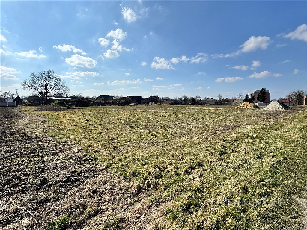 Prodej stavebního pozemku 5 000 m² – pohled 3