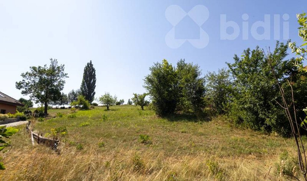Prodej stavebního pozemku 2 678 m², Kamenec u Poličky – náhled fotky 2