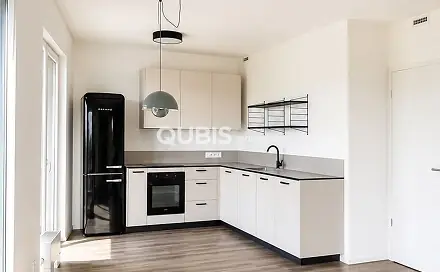 Pronájem bytu 2+kk 103 m²