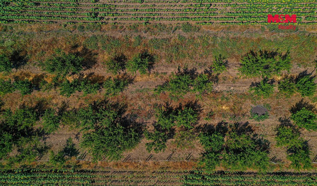 Prodej pole 14 490 m², Zaječí – náhled fotky 18