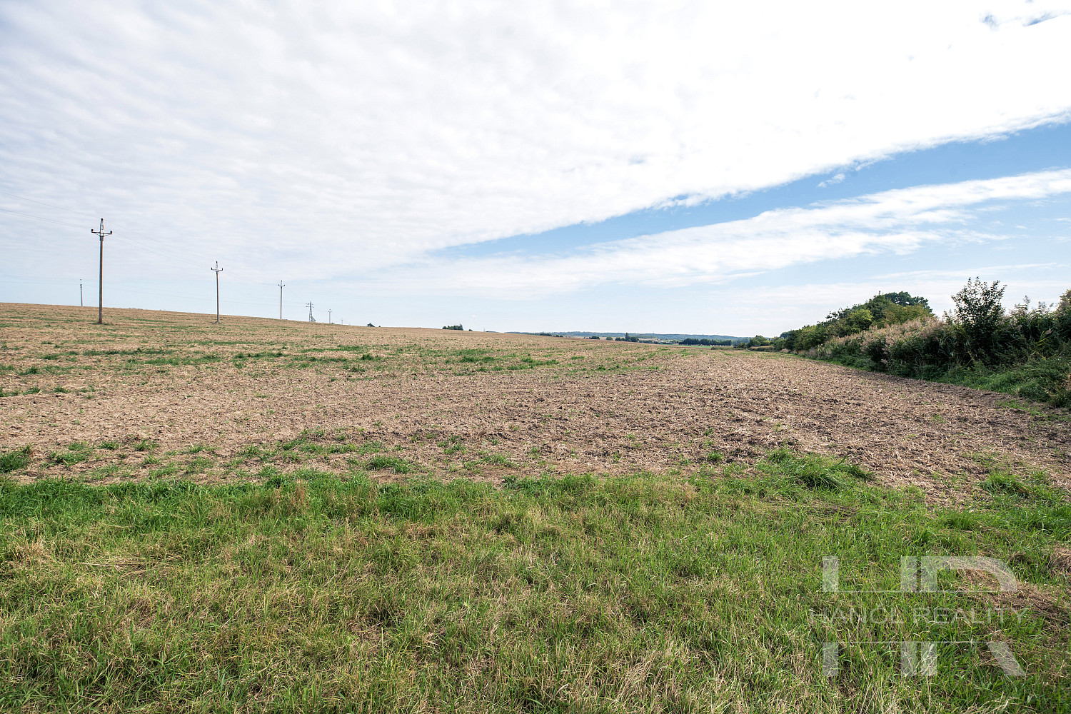 Prodej pole 8 703 m² – fotografie 5
