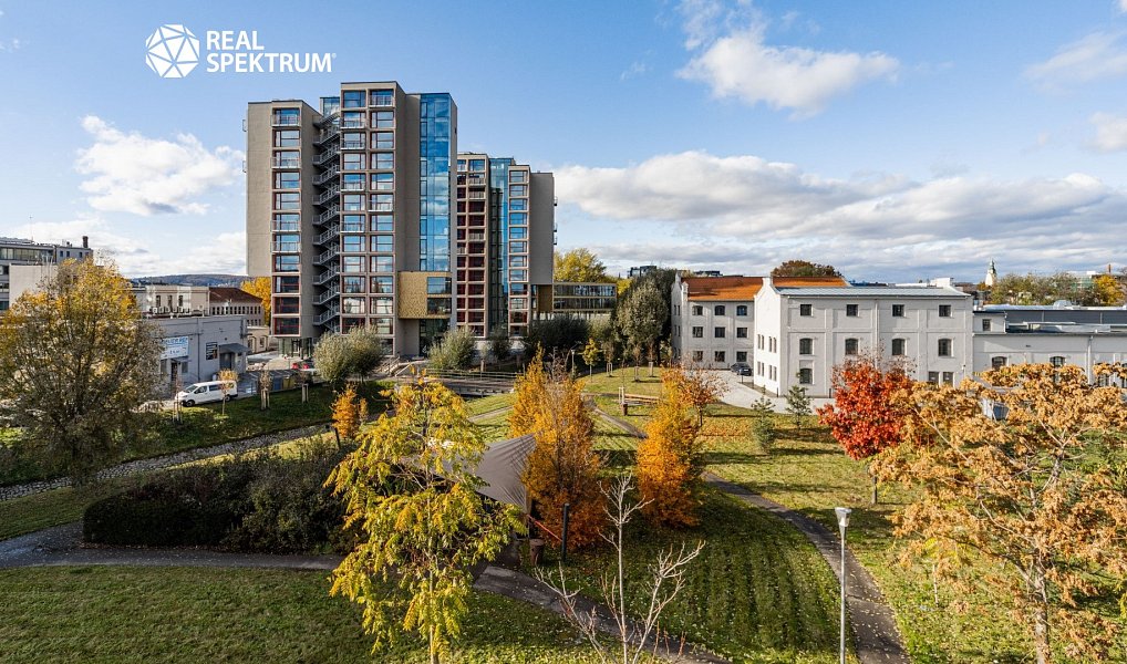 Pronájem kanceláře 893 m², Brno – náhled fotky 12