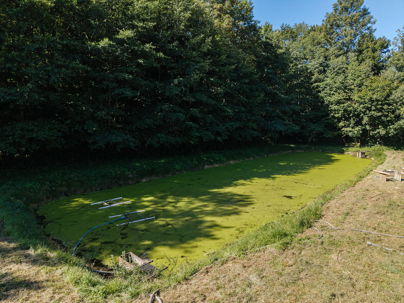Prodej rybích sádek , Nové Hrady – pohled 3