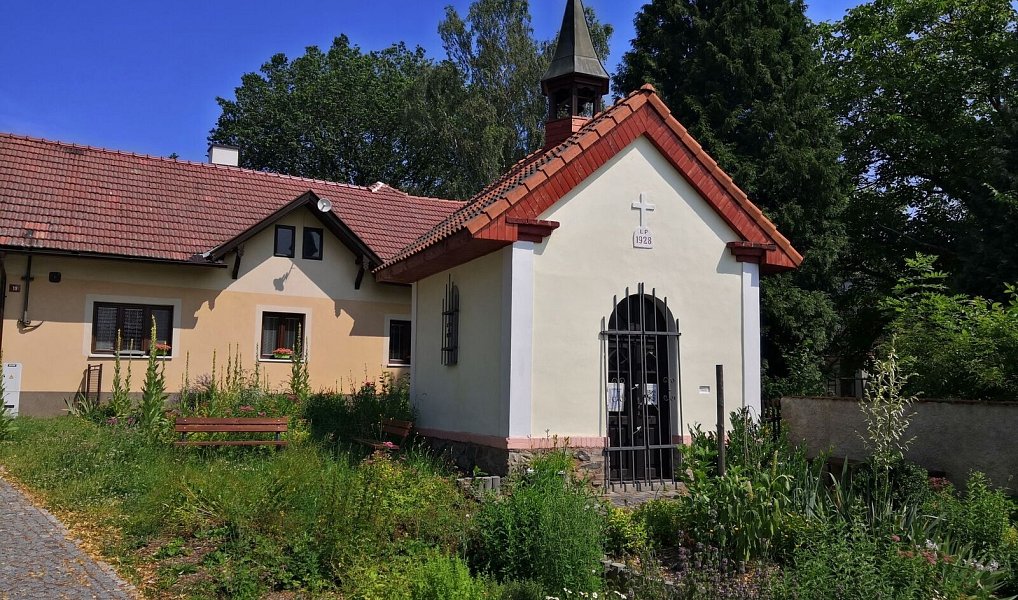 Prodej zahrady 2 278 m², Lazsko – náhled fotky 18