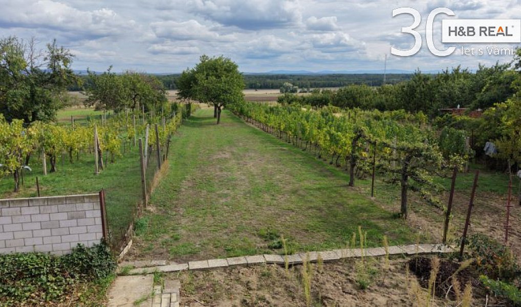 Prodej domu 180 m² s pozemkem 1 822 m², Tvrdonice – náhled fotky 6