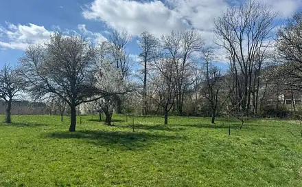 Prodej zahrady 500 m², Nový Jičín