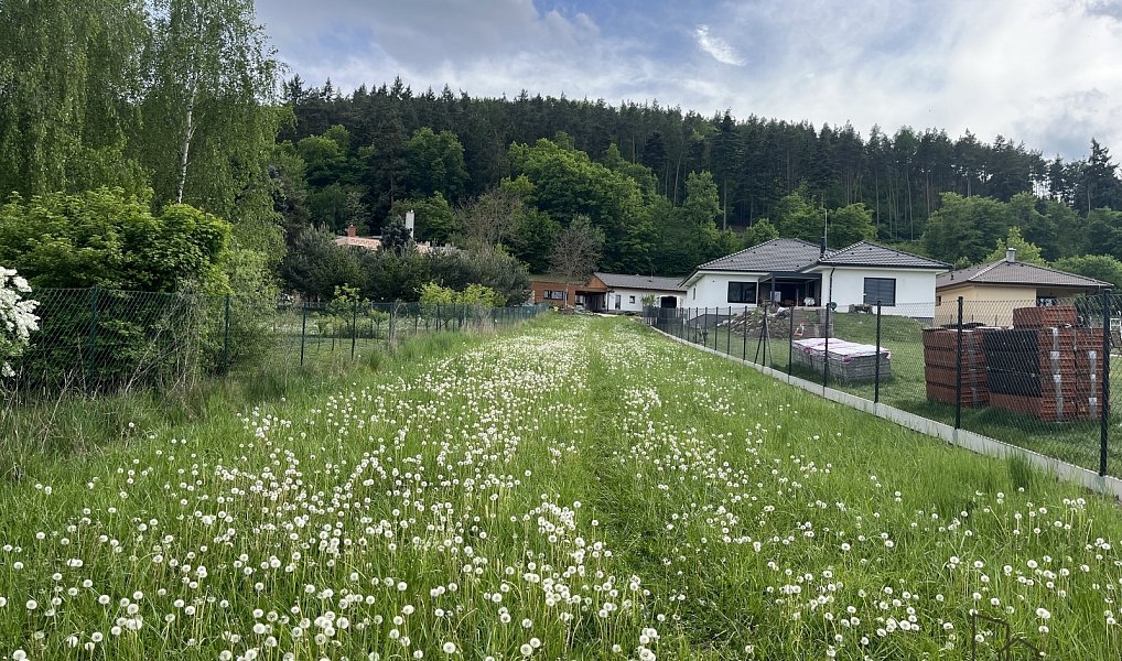 Prodej stavebního pozemku 814 m², Sentice – náhled fotky 7