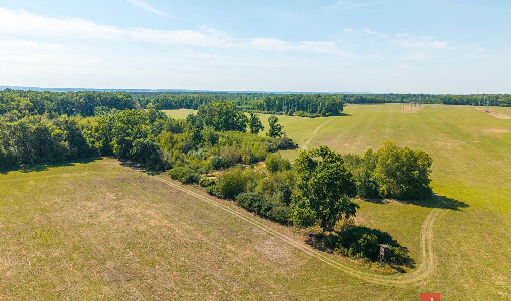 Prodej lesa 37 347 m², Pardubice – náhled fotky 12