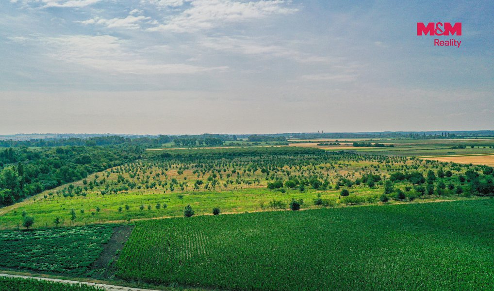 Prodej pole 123 477 m², Rakvice – náhled fotky 5