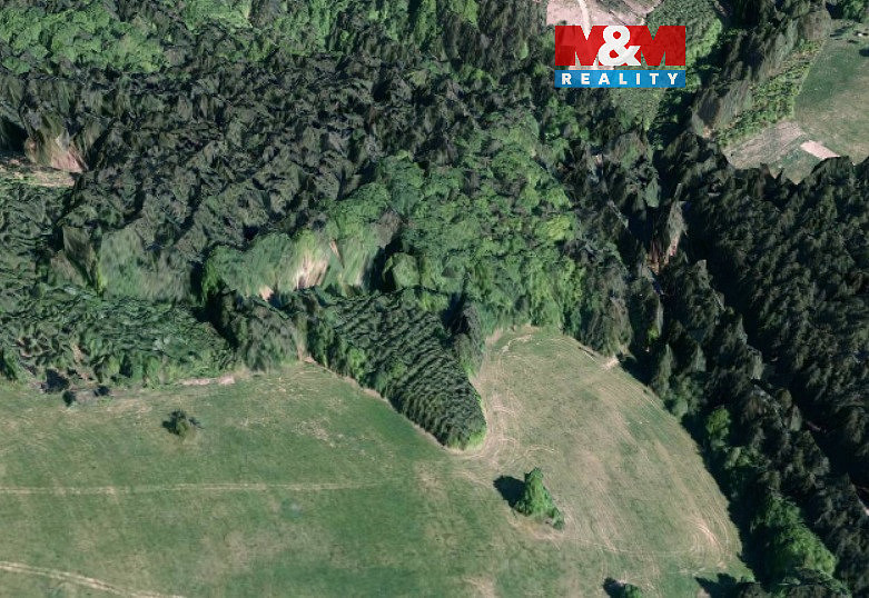 Prodej lesa 8 743 m²