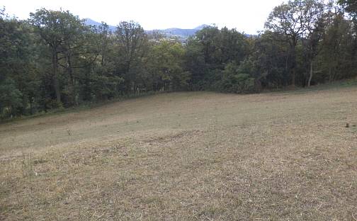 Prodej pole 10 011 m²