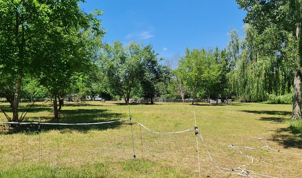 Prodej pozemku 10 828 m², Praha – náhled fotky 7