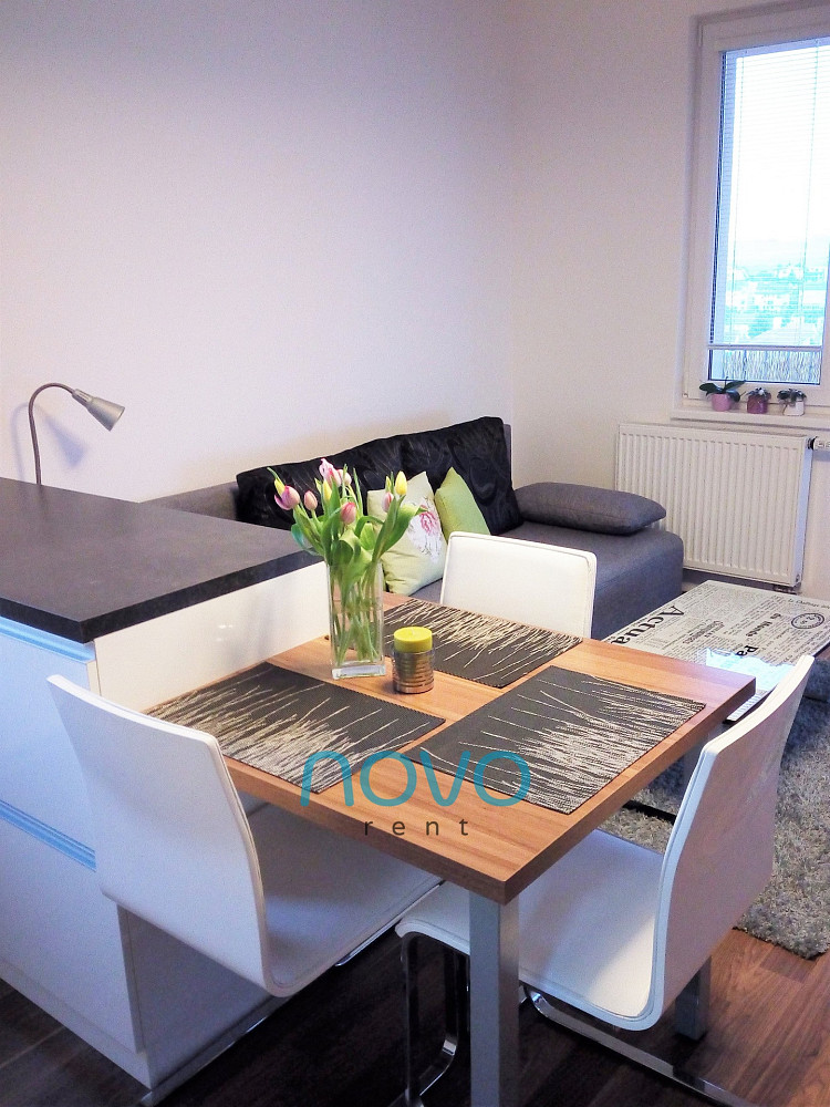 Pronájem bytu 1+kk 33 m² – fotografie 3