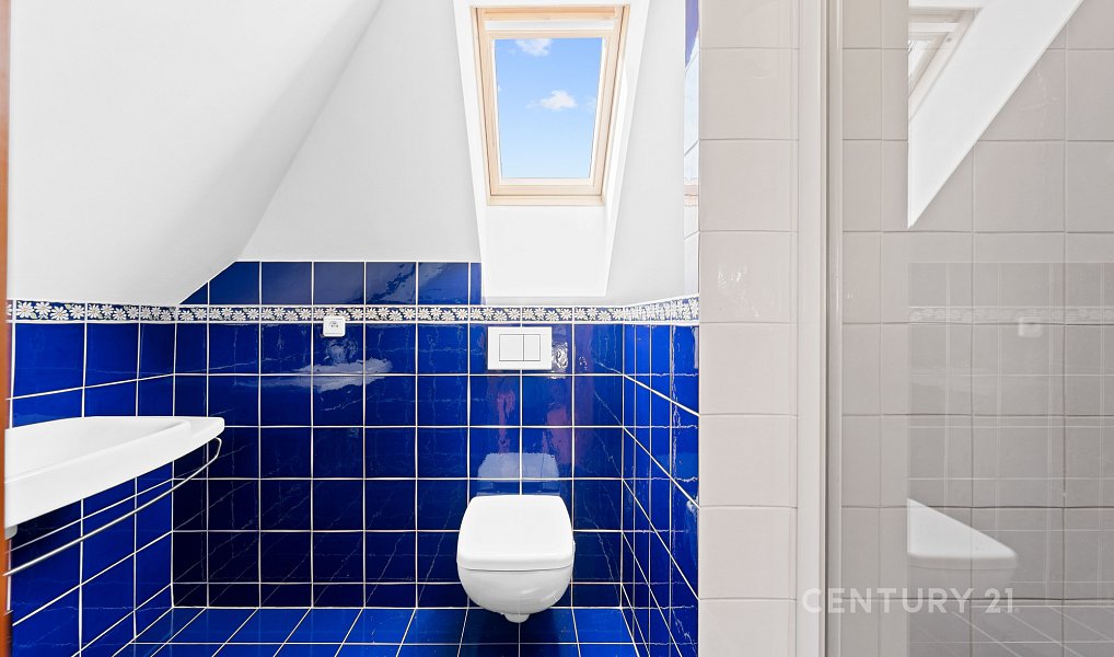 Vinný sklep 83m2, pozemky 8.420m2, Blatnice pod Svatým Antonínkem, Blatnice pod Svatým Antonínkem – náhled fotky 7