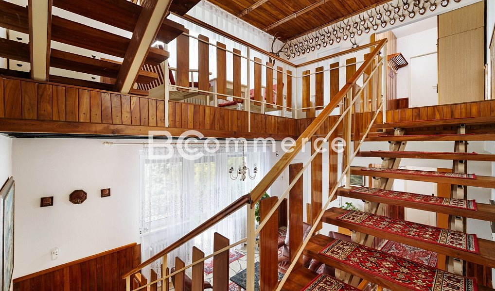 Prodej domu 270 m² s pozemkem 4 446 m², Dolní Kounice – náhled fotky 20
