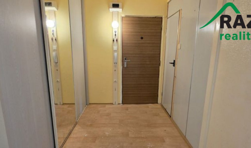 Prodej bytu 2+1 60 m², Planá – náhled fotky 13