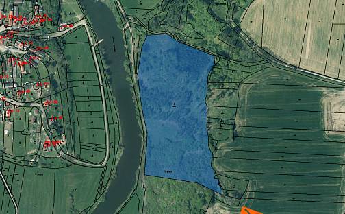 Prodej lesa 13 289 m², Břasy, okres Rokycany
