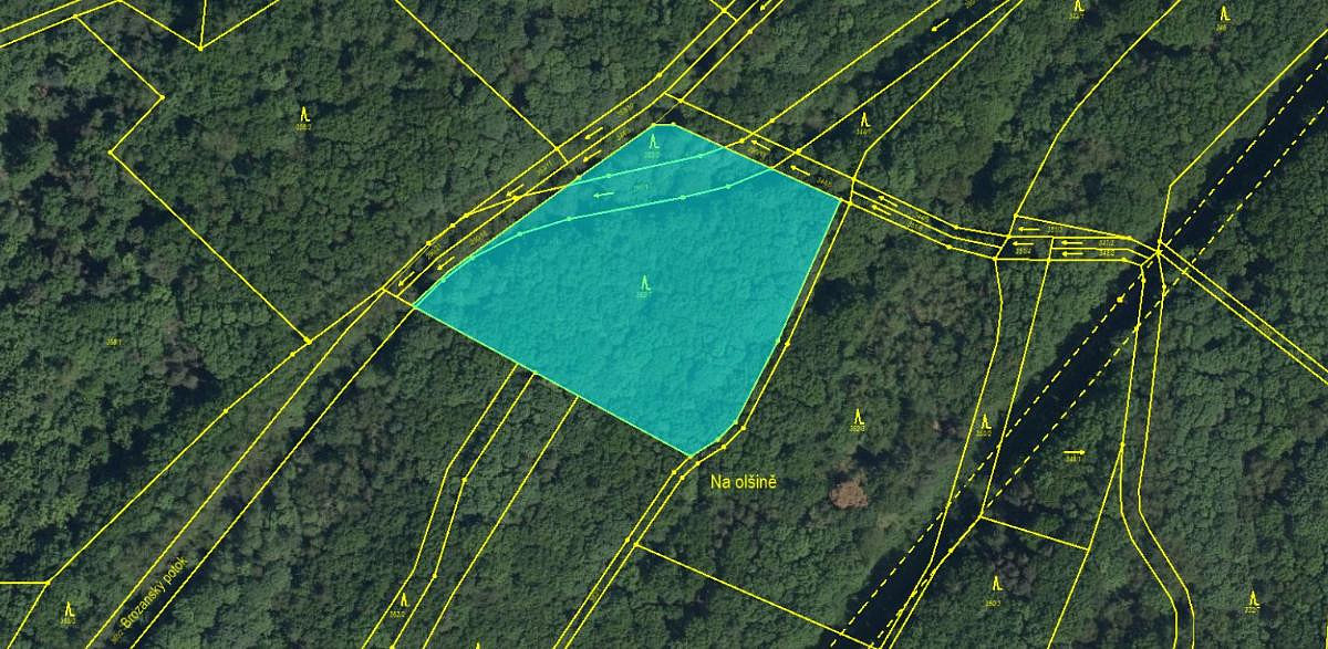 Prodej lesa 7 559 m²
