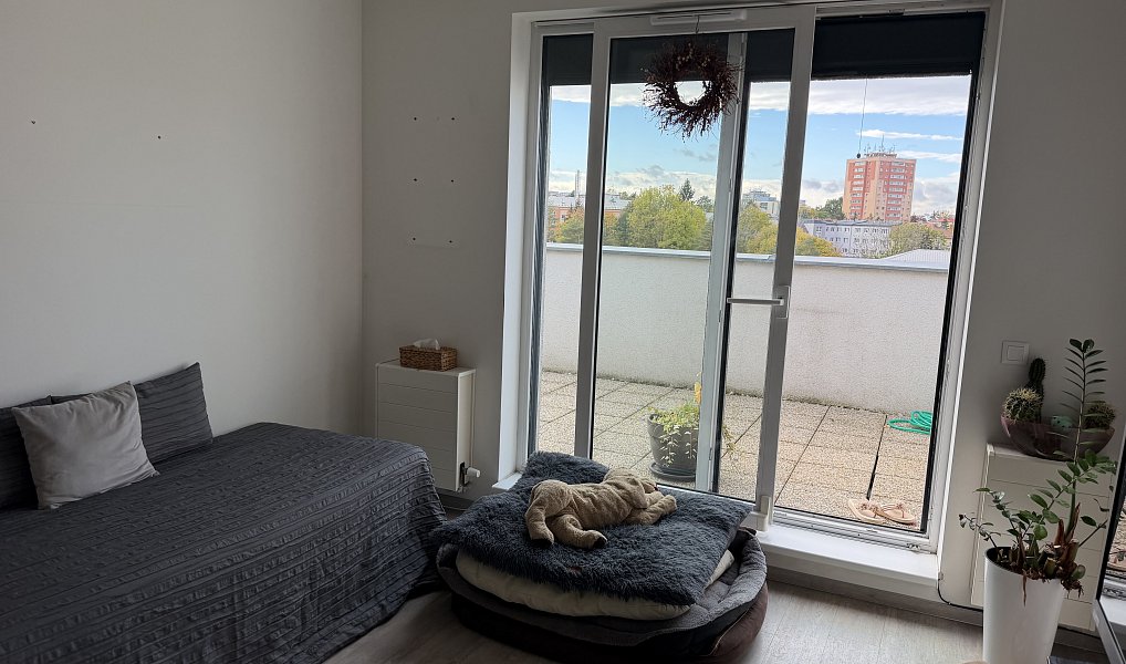 Pronájem bytu 3+kk 63 m², Olomouc – náhled fotky 3