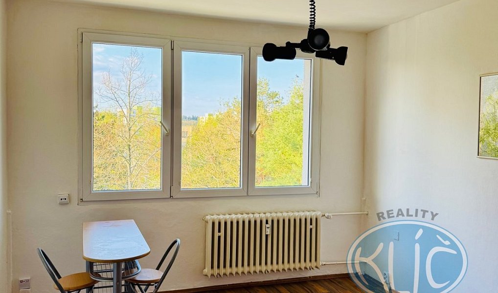Pronájem bytu 1+kk 21 m², Tábor – náhled fotky 4