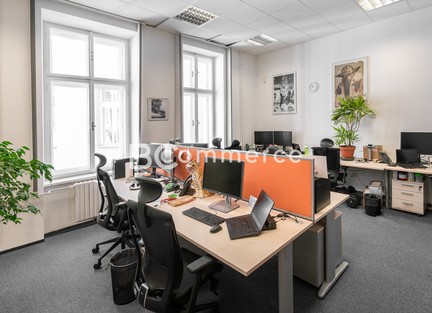 Pronájem kanceláře 155 m²