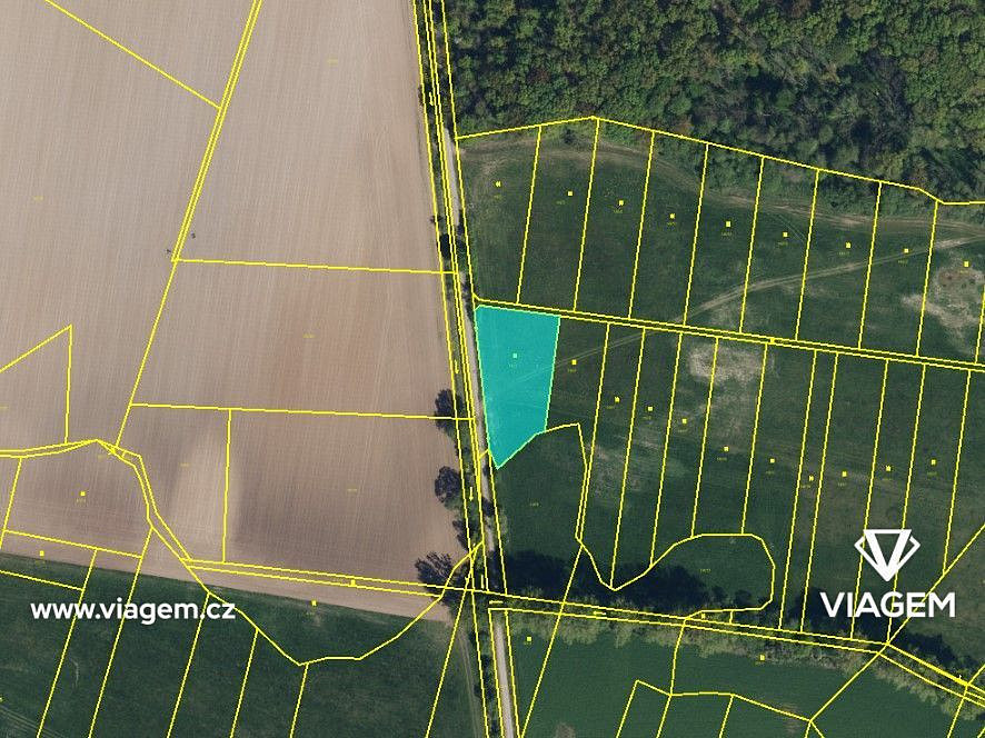 Prodej pole 1 282 m² – fotografie 4