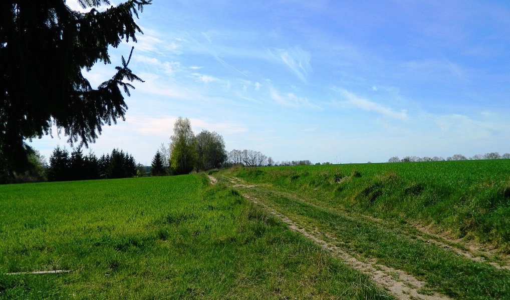 Prodej stavebního pozemku 984 m², Přehořov – náhled fotky 4